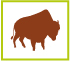 Bison icone 1