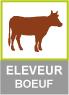 Eleveur boeuf