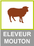 Eleveur mouton