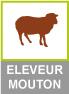 Eleveur mouton