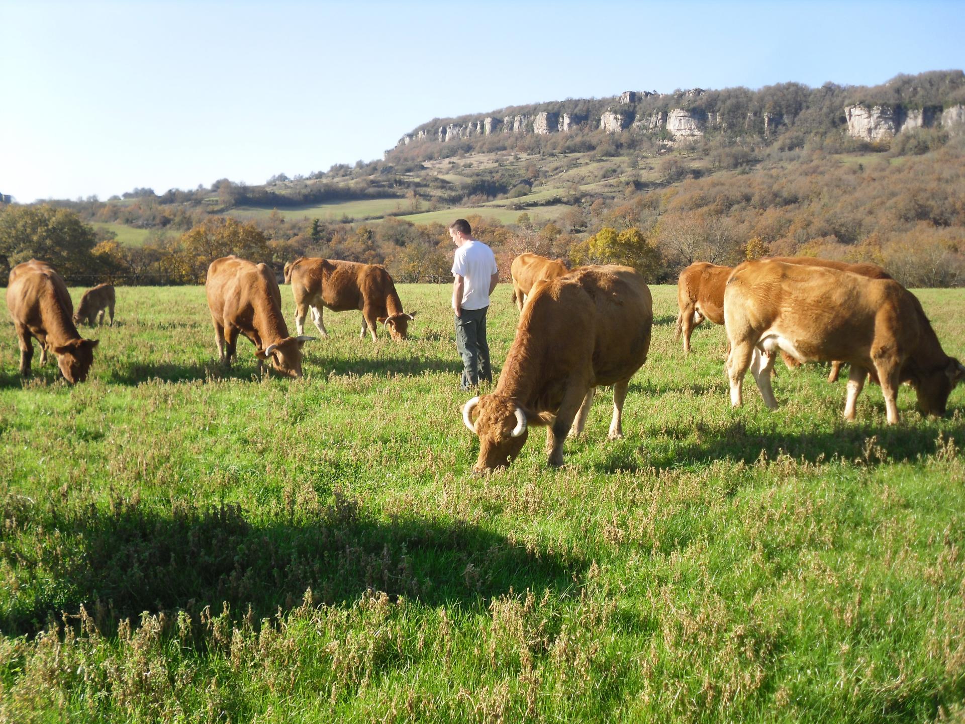 Gaec source de l orb 1